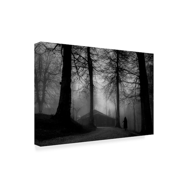 Ummu Nisan 'Fog Ii' Canvas Art,30x47